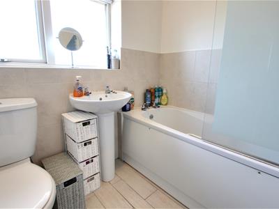 Picture 15
